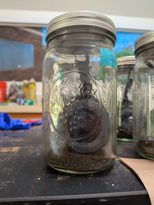 Soil sealed in jars to measure how much the microbes in it breathe.